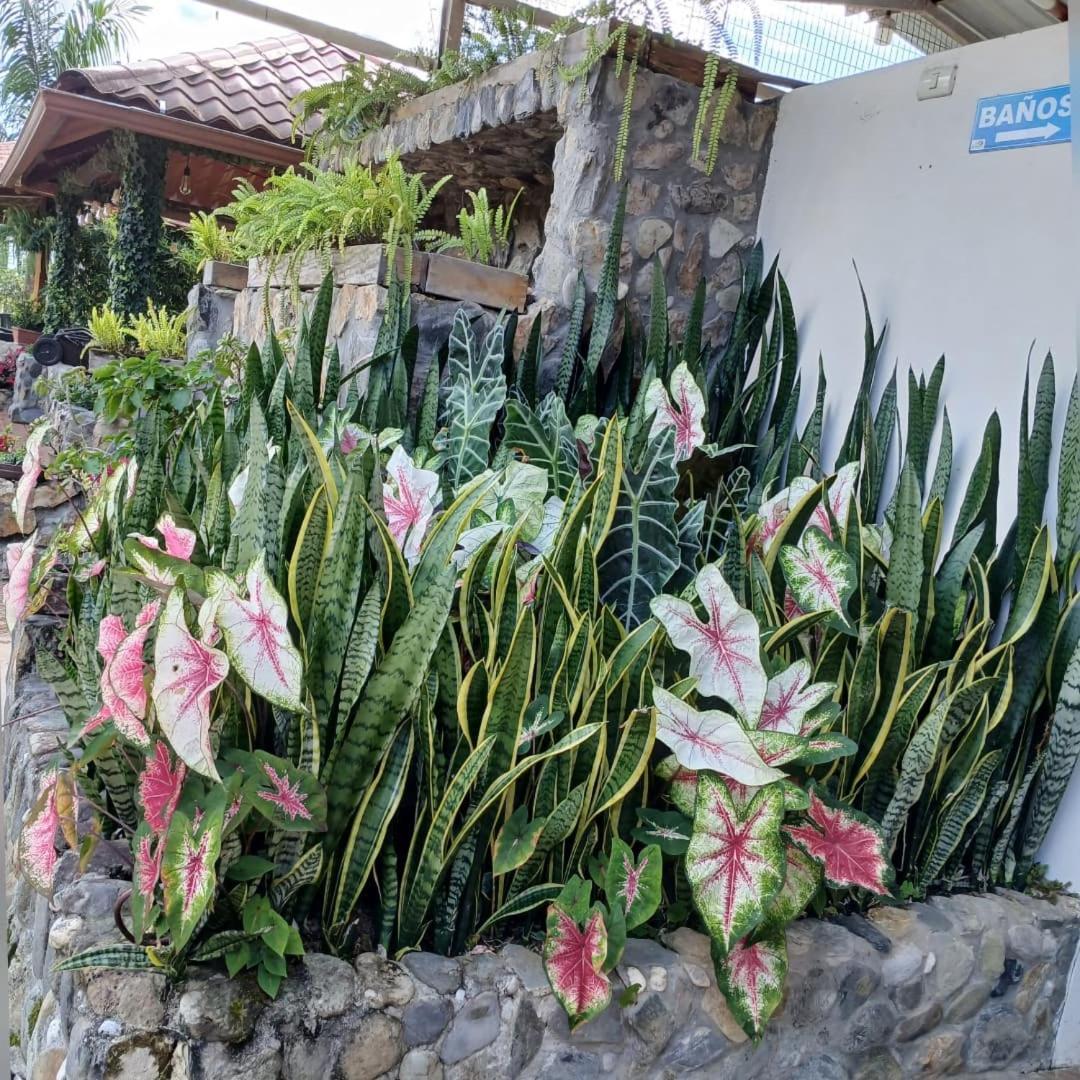 La Quinta De Andres Hotel San Isidro  Exterior photo